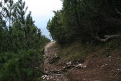2011-04-24_Regina-F-Rau_Brunnstein-Spitze (289).JPG